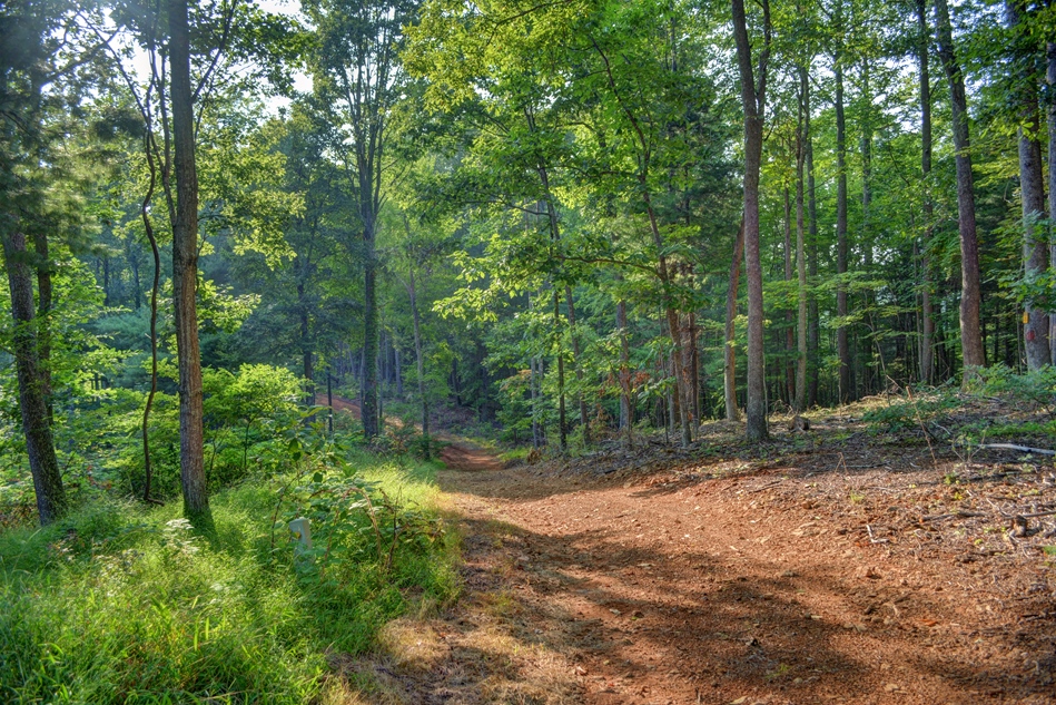 Cabin for Sale in Blue Ridge Mountains